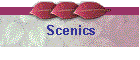 Scenics