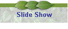 Slide Show