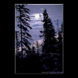 moonrise.jpg (50127 bytes)